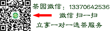 日照绿茶直销网