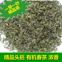 精品日照绿茶早春